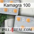 Kamagra 100 25